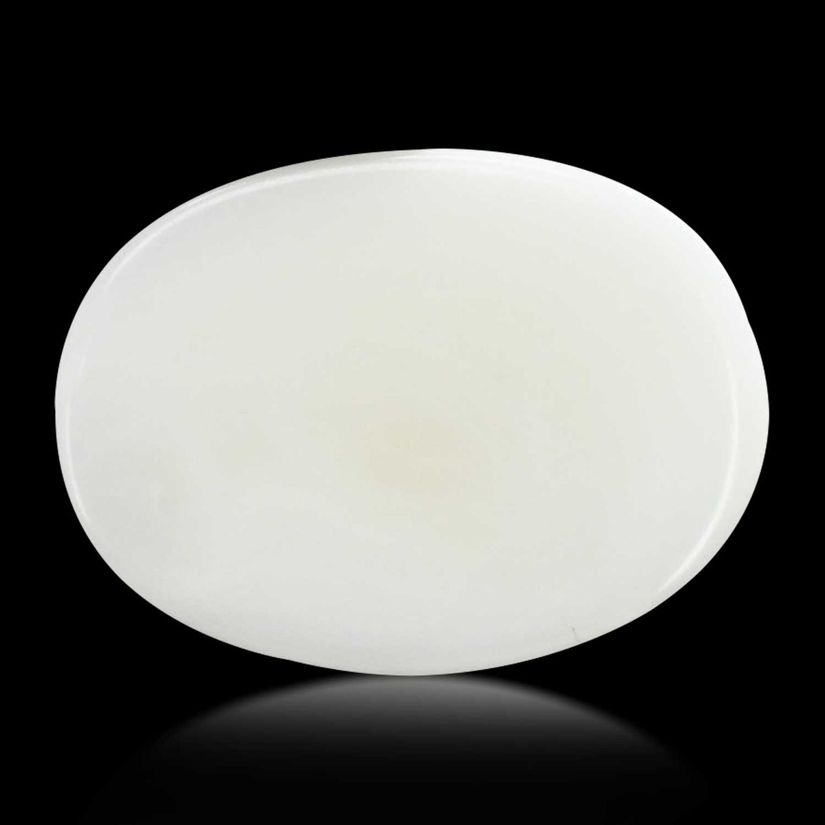 Japani White Coral 8.28 Carat