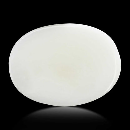 Japani White Coral 8.28 Carat