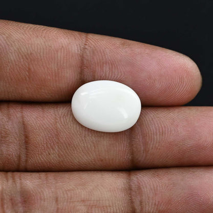 Japani White Coral 8.28 Carat