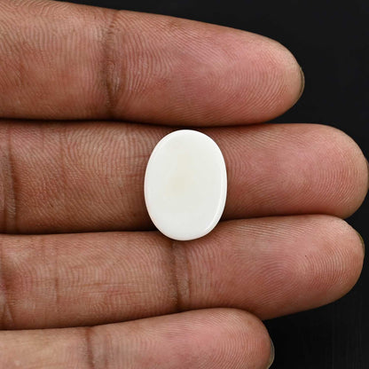 Japani White Coral 8.28 Carat
