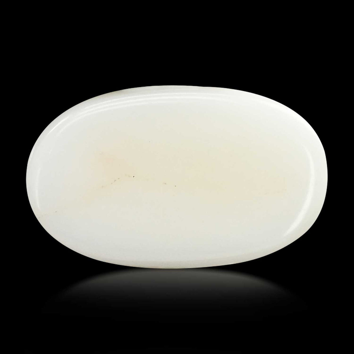 Japani White Coral 9.12 Carat
