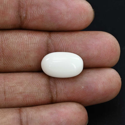 Japani White Coral 9.12 Carat