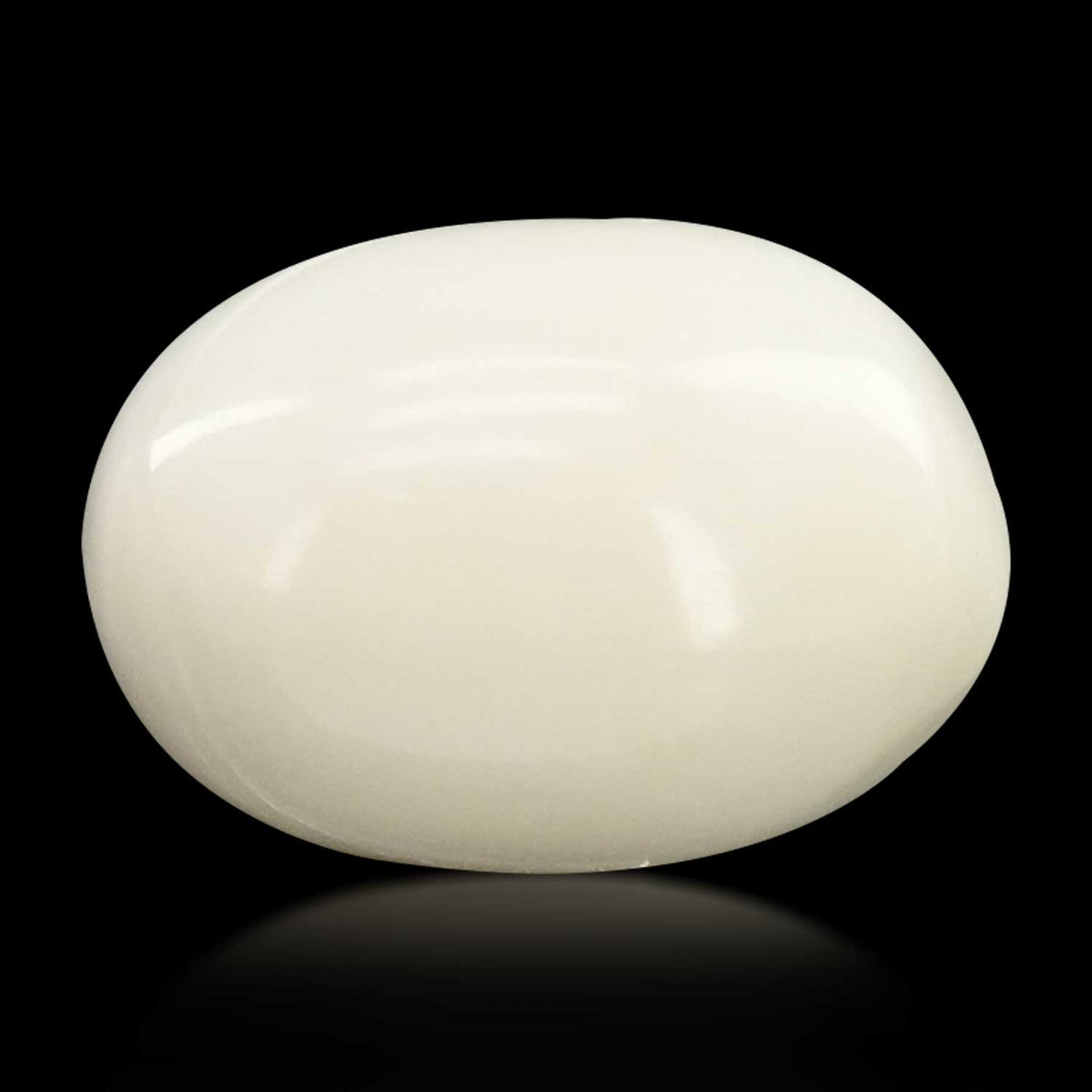 Japani White Coral 8.44 Carat