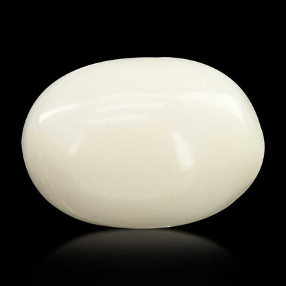 Japani White Coral 8.44 Carat