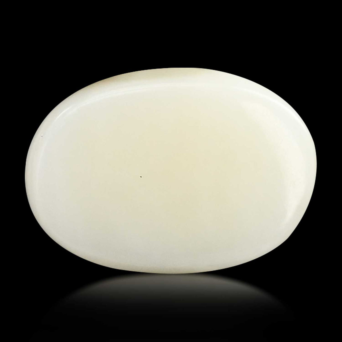 Japani White Coral 8.44 Carat