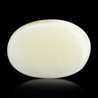 Japani White Coral 8.44 Carat