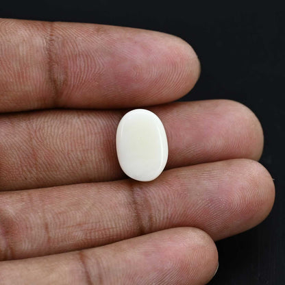 Japani White Coral 8.44 Carat