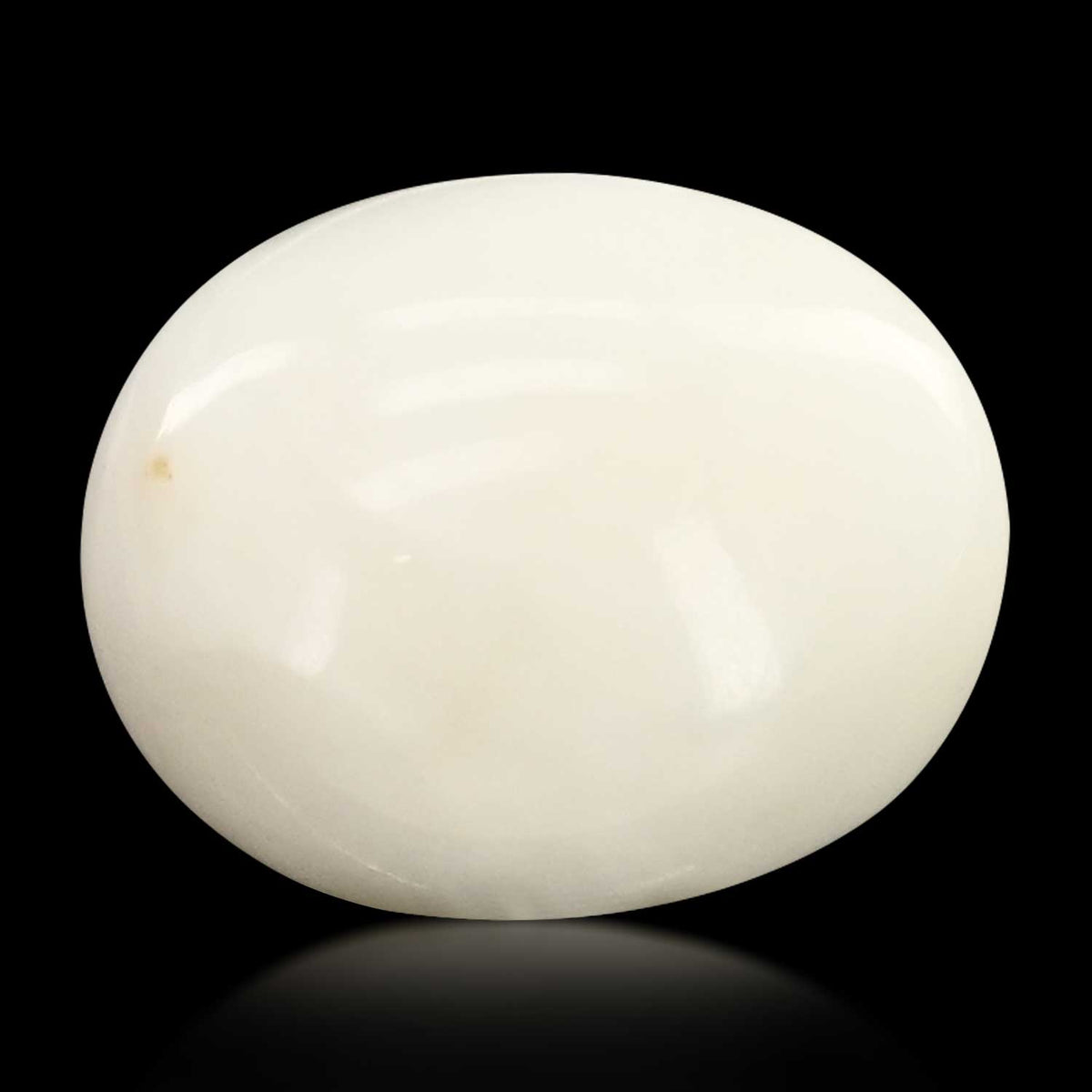 Japani White Coral 7.73 Carat
