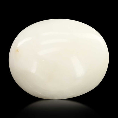 Japani White Coral 7.73 Carat