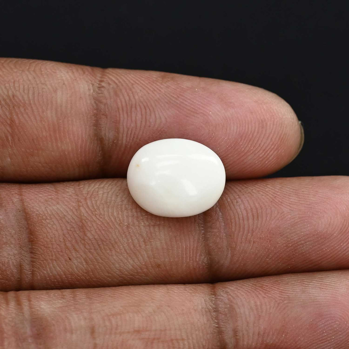 Japani White Coral 7.73 Carat
