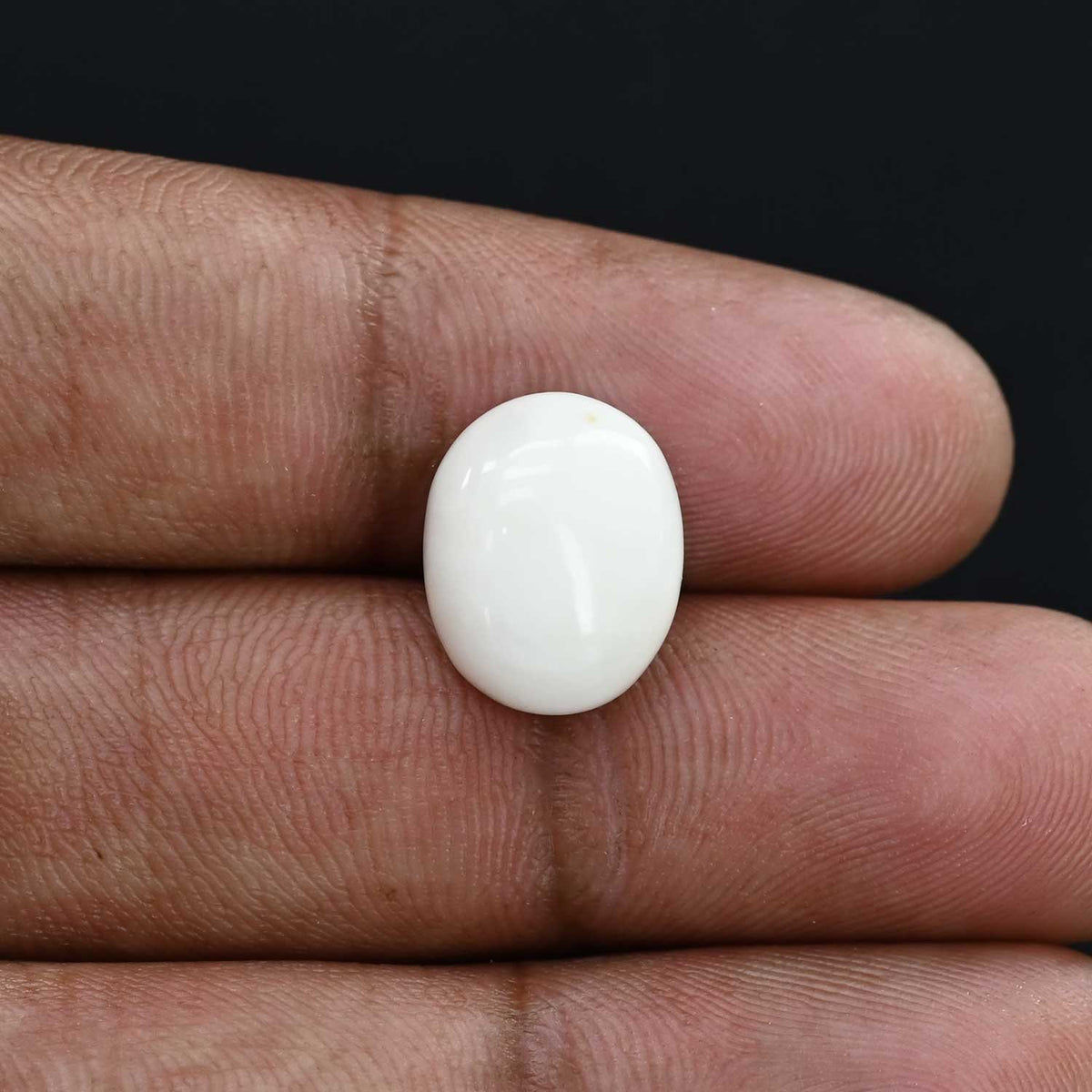 Japani White Coral 7.73 Carat