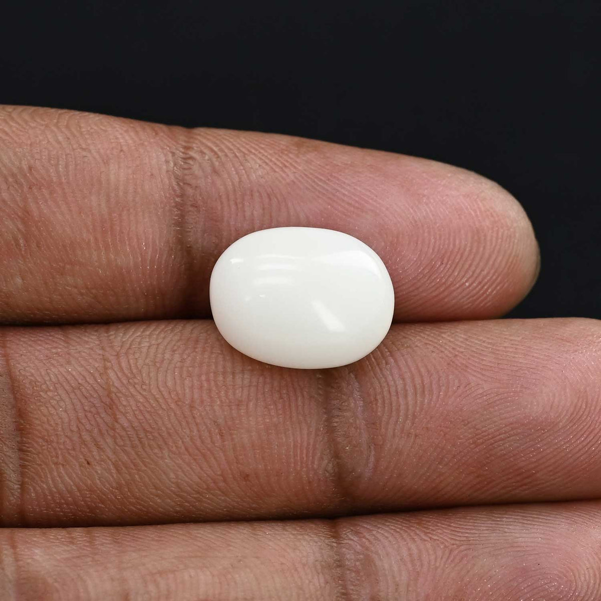 Japani White Coral 8.83 Carat