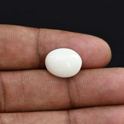 Japani White Coral 7.94 Carat