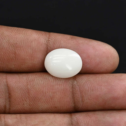 Japani White Coral 5.77 Carat