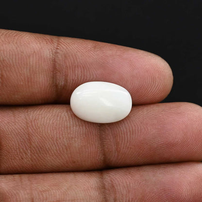 Japani White Coral 6.12 Carat