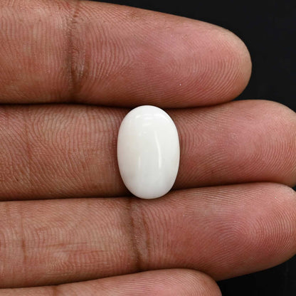 Japani White Coral 6.12 Carat