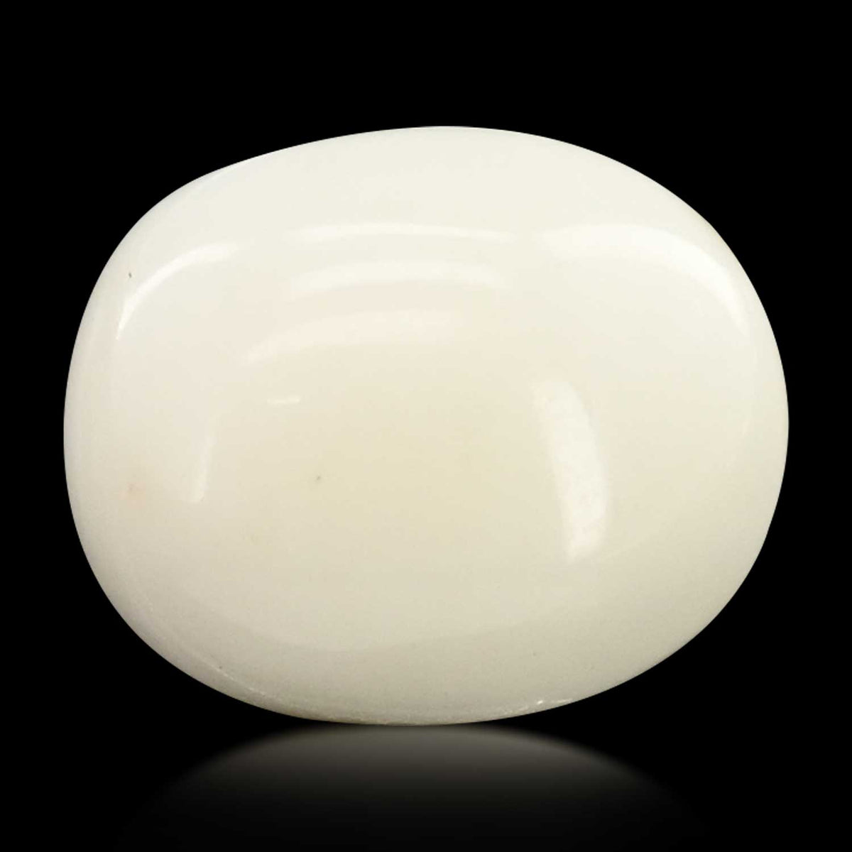 Japani White Coral 7.35 Carat