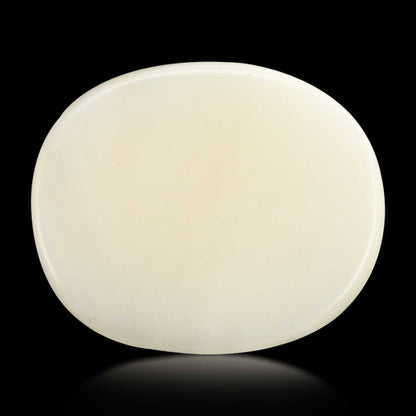 Japani White Coral 7.35 Carat
