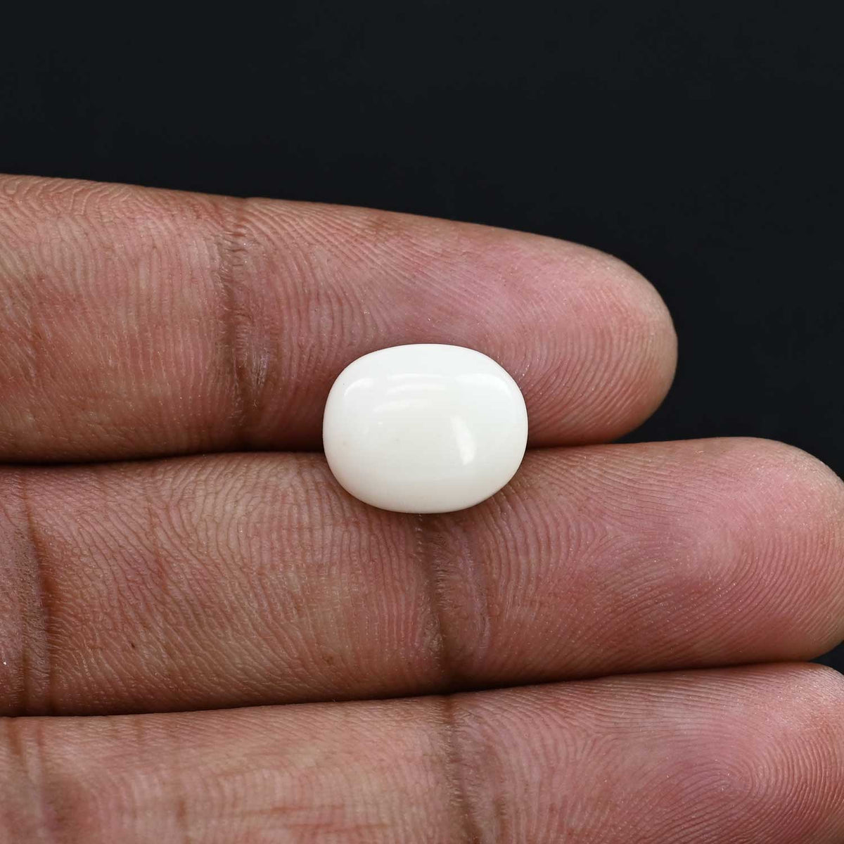 Japani White Coral 7.35 Carat