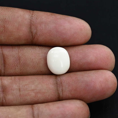 Japani White Coral 7.35 Carat