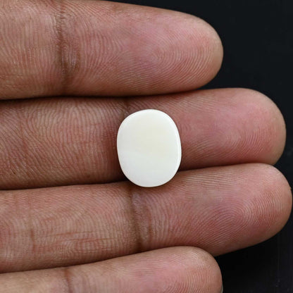 Japani White Coral 7.35 Carat