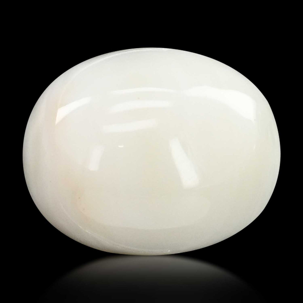 Japani White Coral 6.36 Carat
