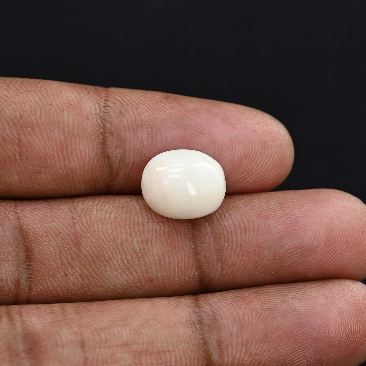 Japani White Coral 6.36 Carat