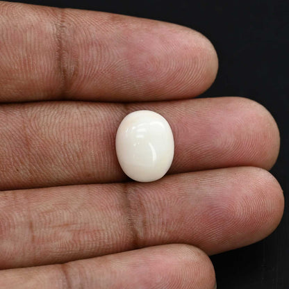 Japani White Coral 6.36 Carat