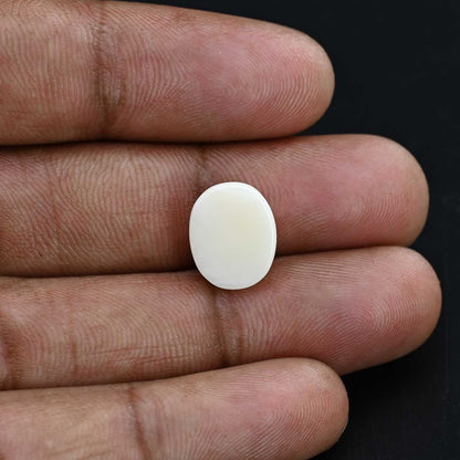 Japani White Coral 6.36 Carat