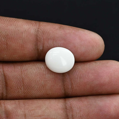 Japani White Coral 5.5 Carat