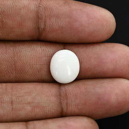 Japani White Coral 5.5 Carat