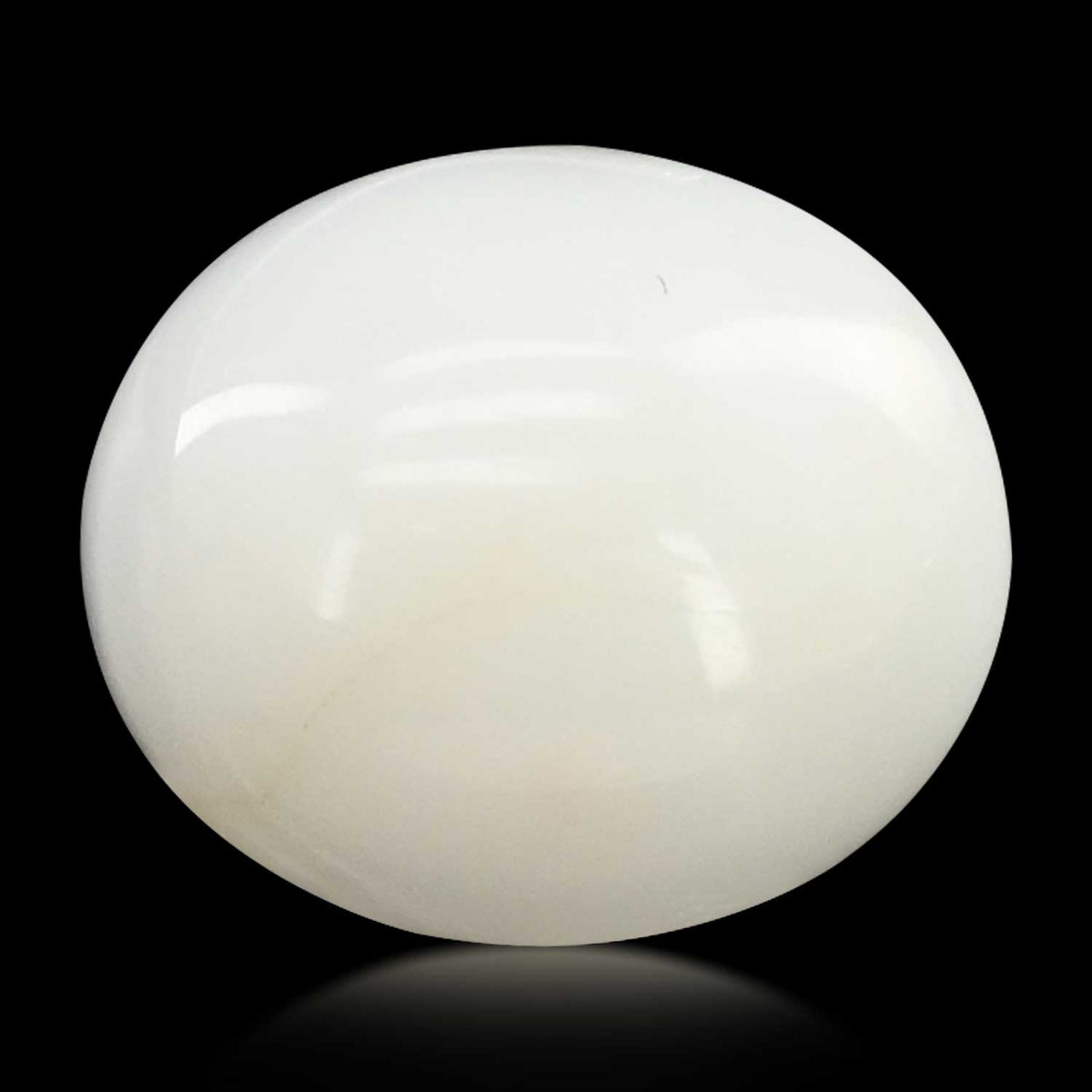 Japani White Coral 6.3 Carat