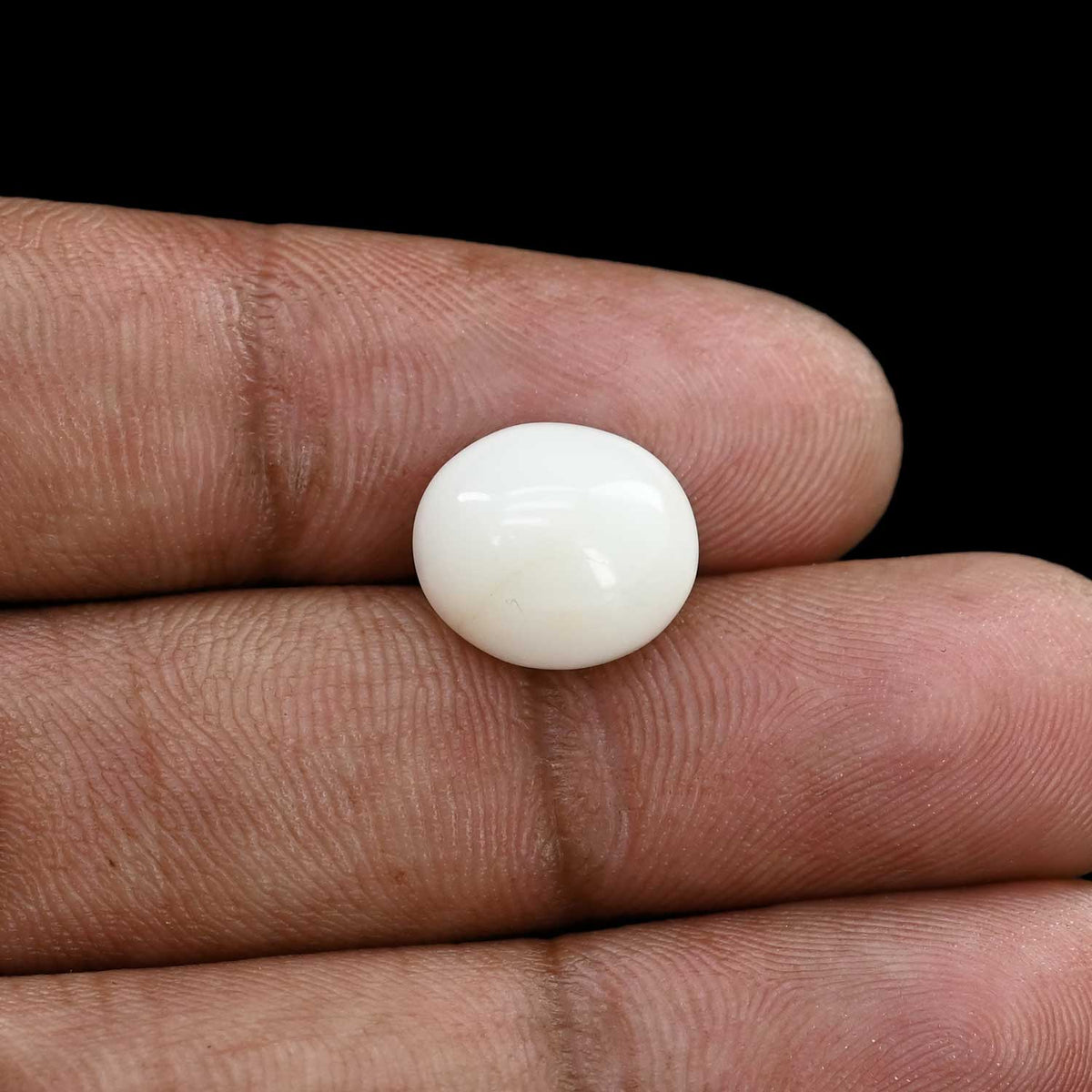 Japani White Coral 6.3 Carat