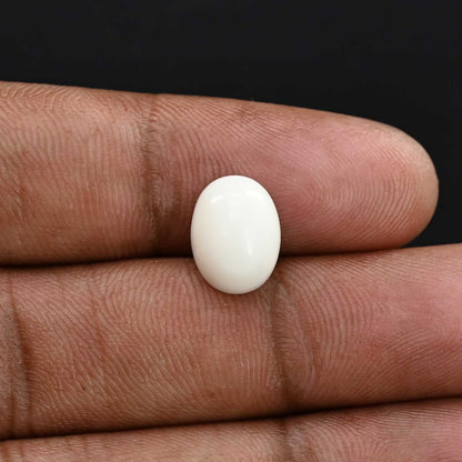 Japani White Coral 5.11 Carat