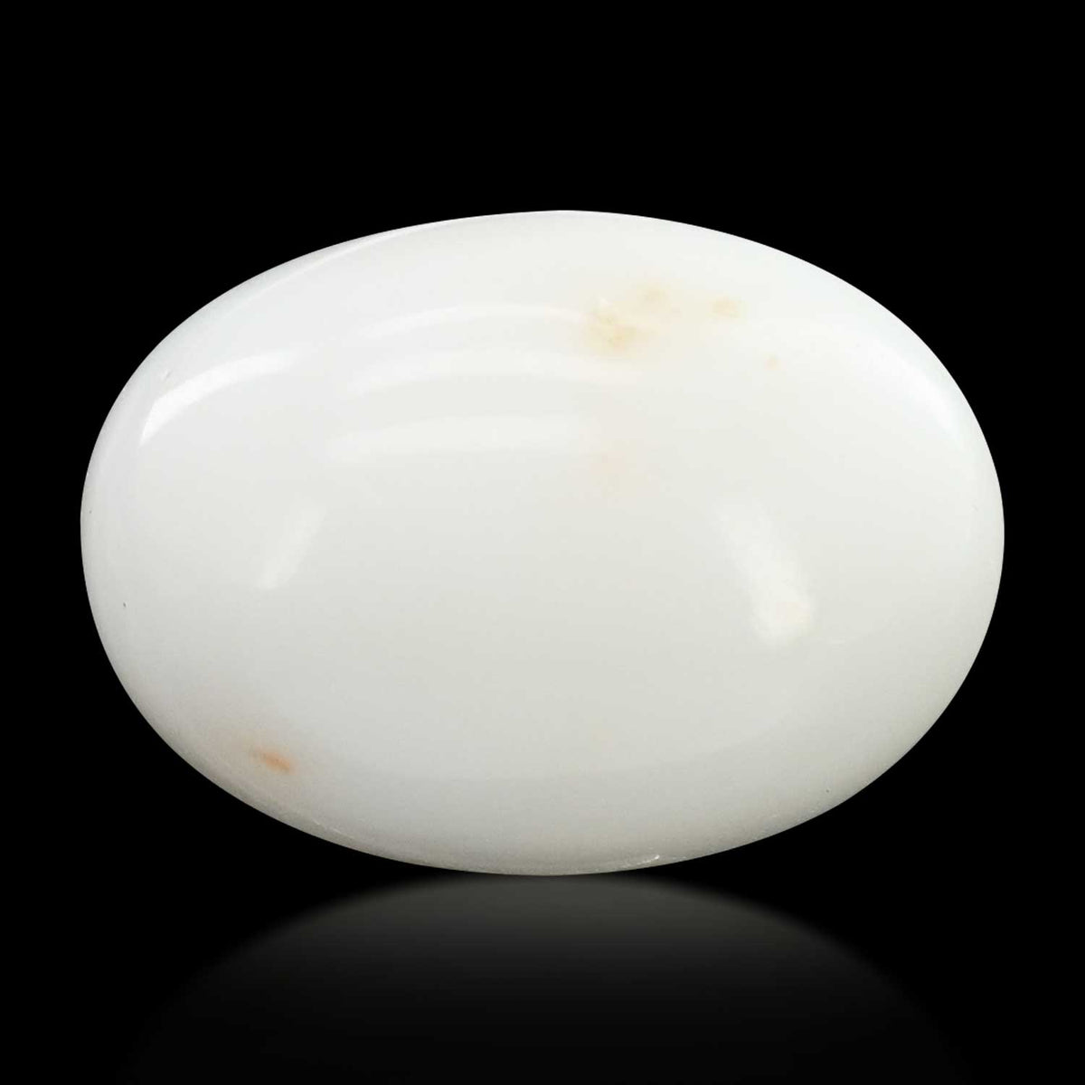 Japani White Coral 22.04 Carat