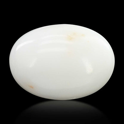 Japani White Coral 22.04 Carat