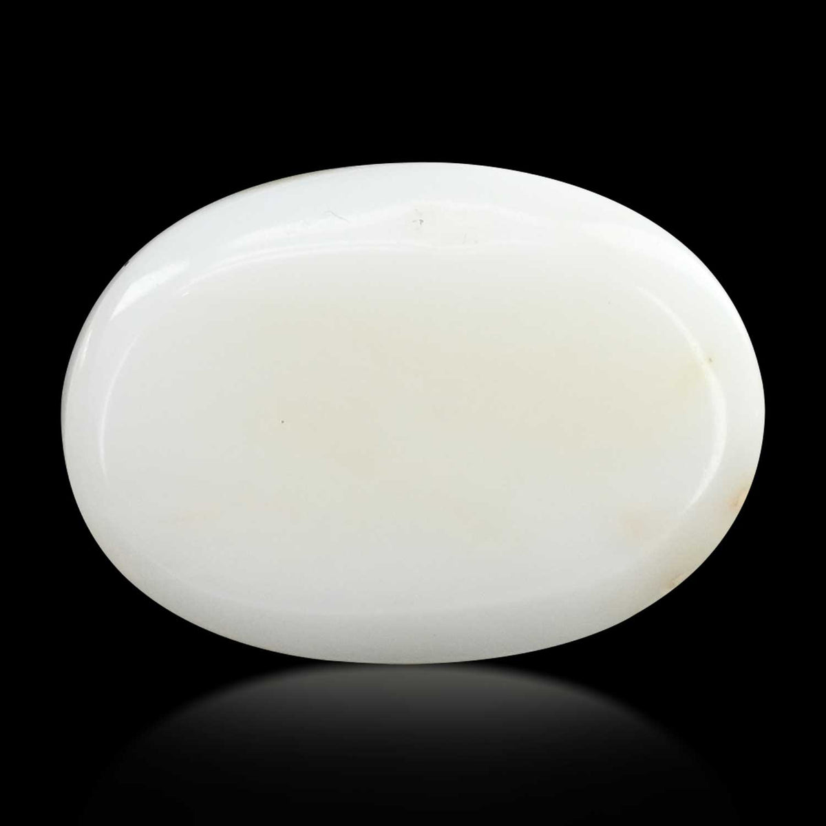 Japani White Coral 22.04 Carat