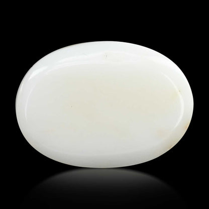 Japani White Coral 22.04 Carat