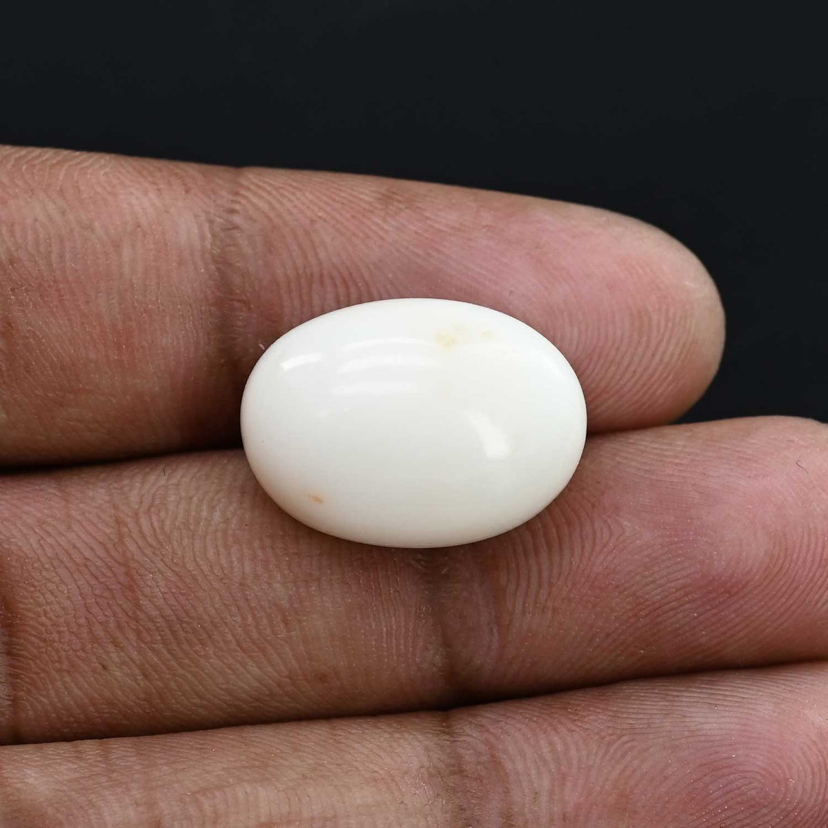 Japani White Coral 22.04 Carat