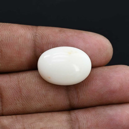 Japani White Coral 22.04 Carat