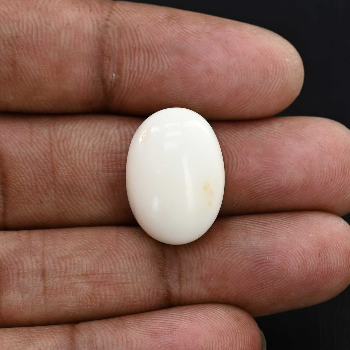 Japani White Coral 22.04 Carat