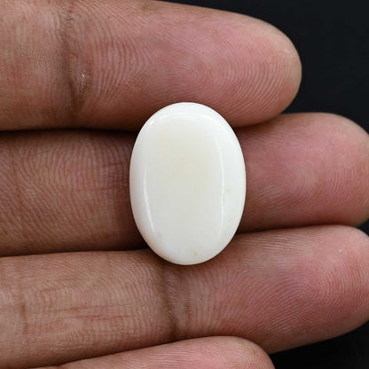 Japani White Coral 22.04 Carat