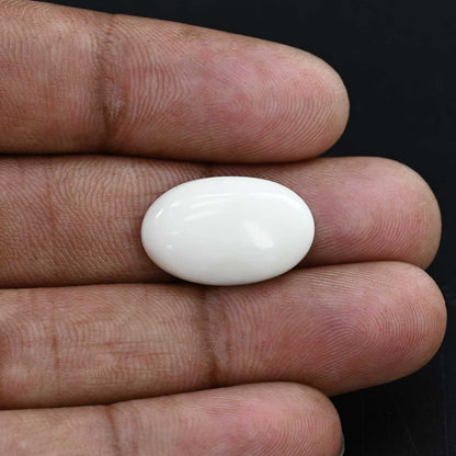 Japani White Coral 11.91 Carat