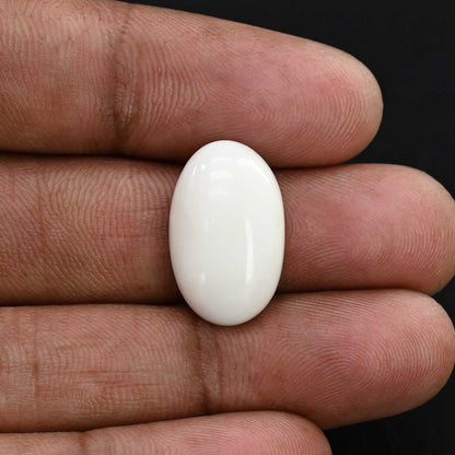Japani White Coral 11.91 Carat