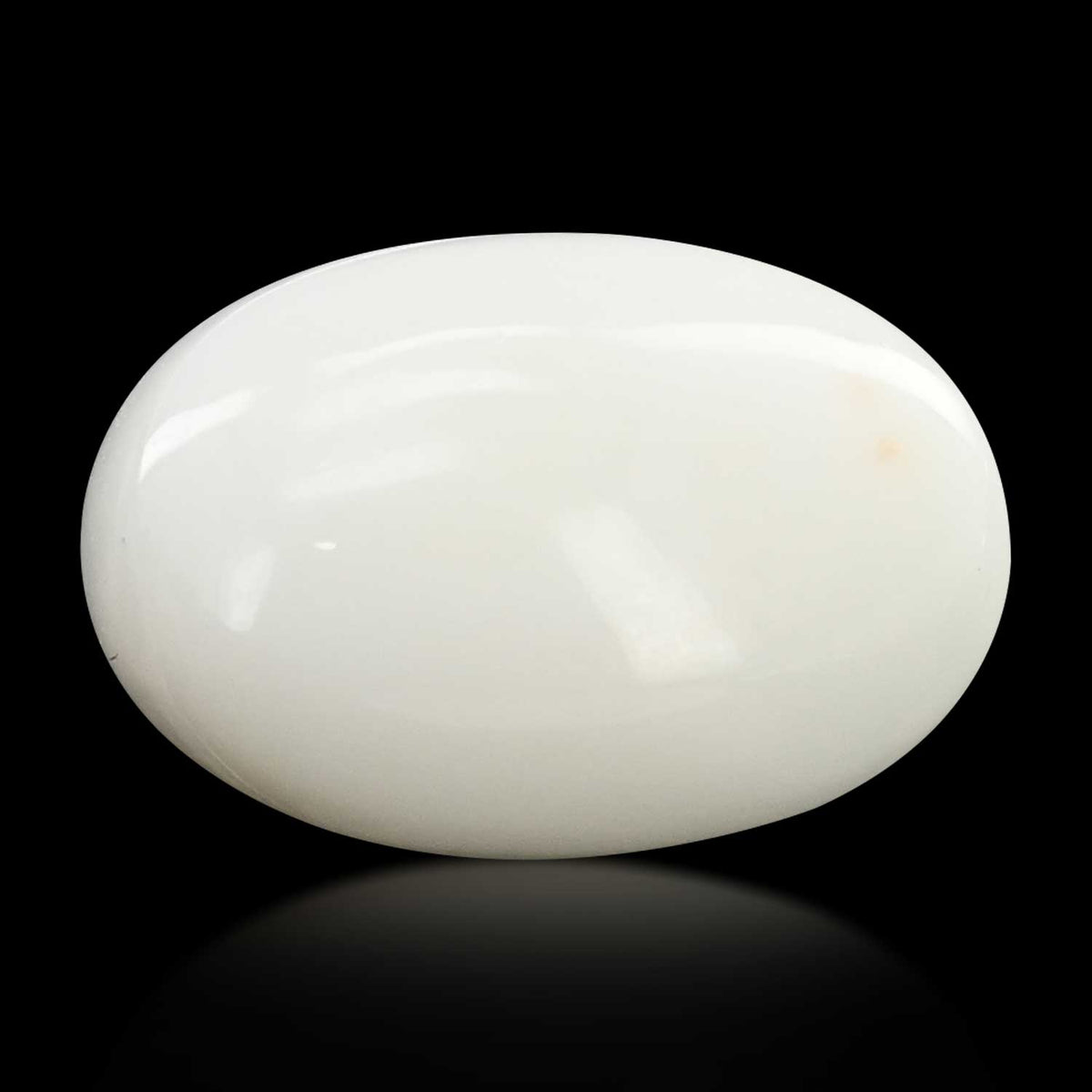 Japani White Coral 17.44 Carat