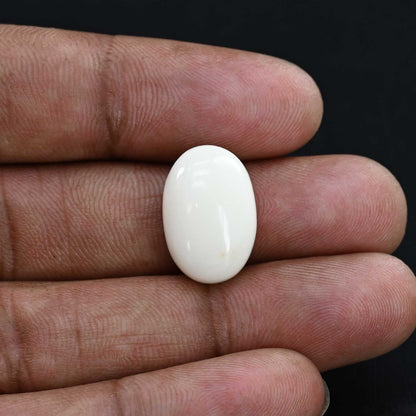 Japani White Coral 17.44 Carat