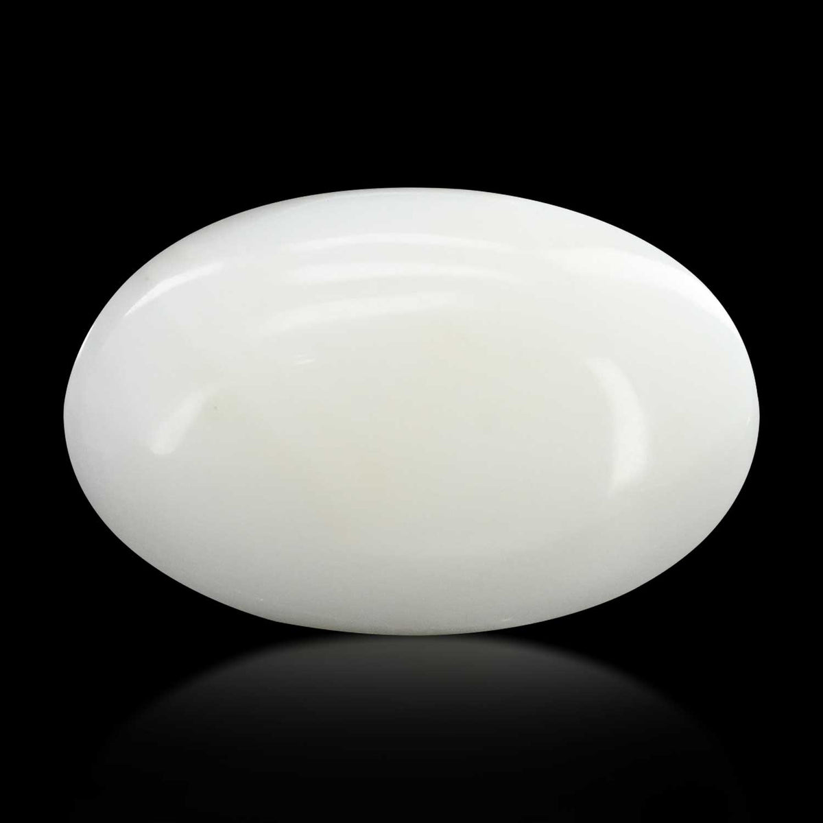 Japani White Coral 12.59 Carat