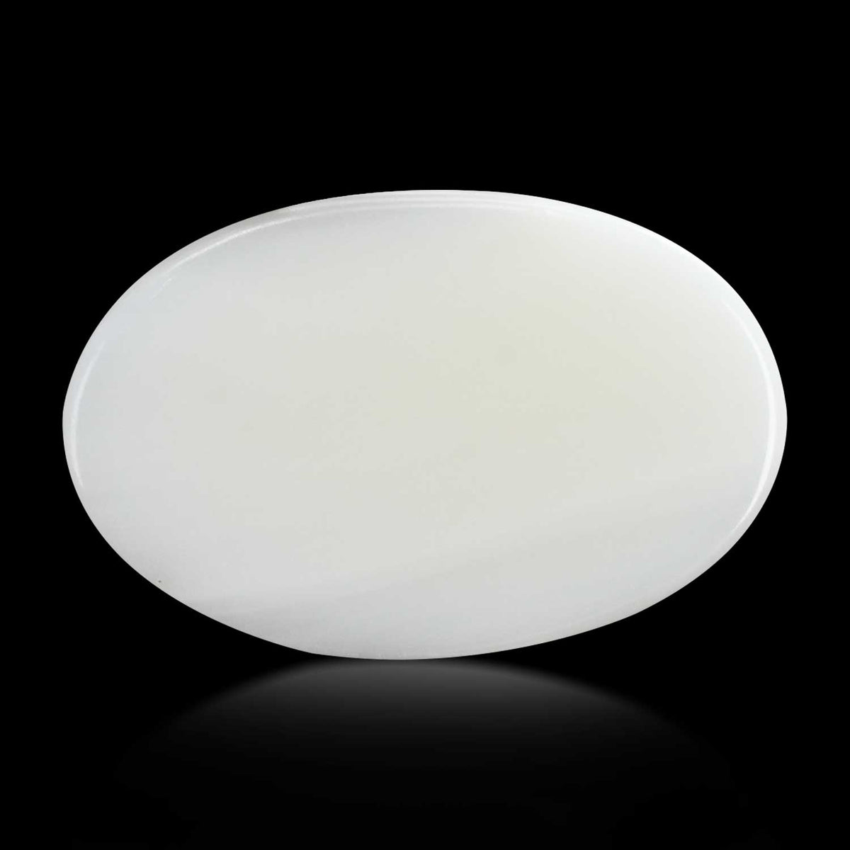 Japani White Coral 12.59 Carat