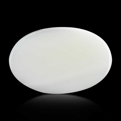 Japani White Coral 12.59 Carat