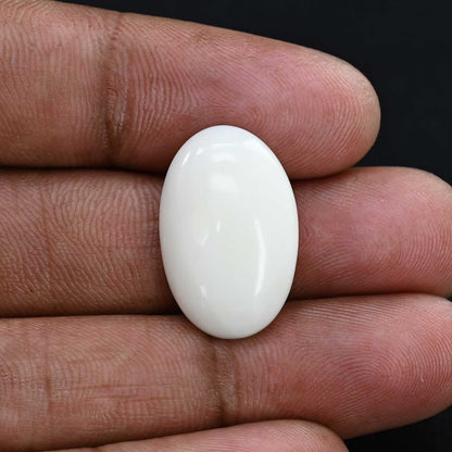 Japani White Coral 12.59 Carat